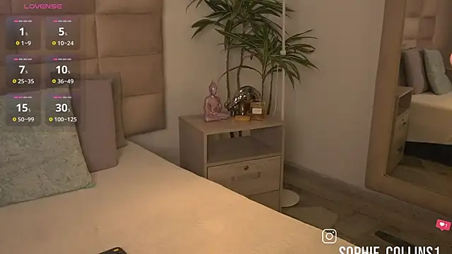 SophieCollins 1 online show from 07-02-26, 12:00