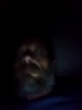 Potch8duim online show from 10-06-25, 07:55