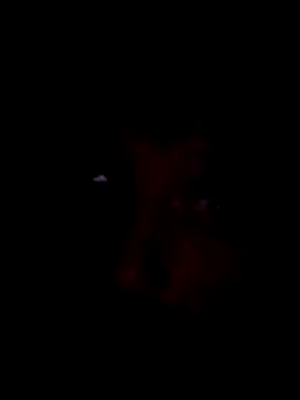 Potch8duim online show from 11-02-25, 07:49