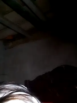 misa 00 online show from 02-24-26, 08:29