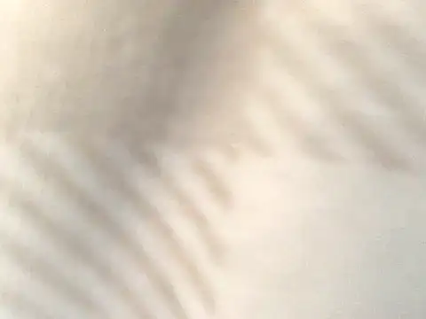 Snapshot of Tishrella6 chatting on 09-11-25, 07:25 Tishrella6 online show from 09-11-25, 07:25