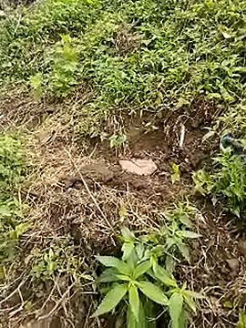 venu00 online show from 04-21-26, 01:42