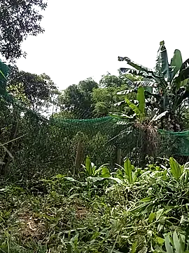 Ngocmi909 online show from 04-21-26, 02:51