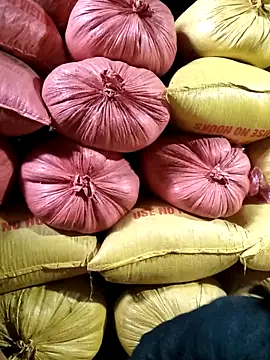 Sa2mh20 online show from 02-11-26, 06:51