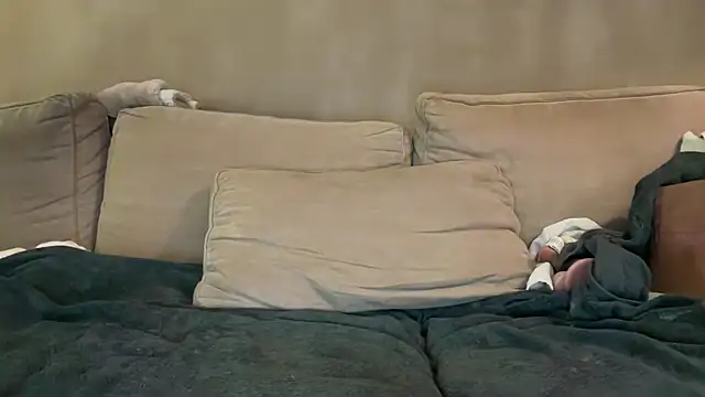 Rimvideo online show from 02-12-26, 09:32