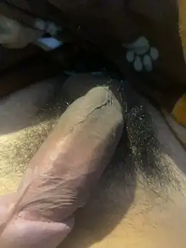 zzagreo online show from 07-04-26, 07:58