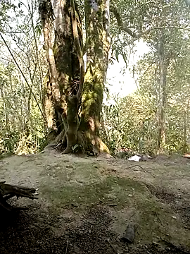 rubi bae online show from 04-07-26, 02:45