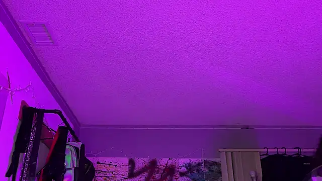 xoFrankie online show from 11-16-25, 05:13