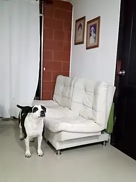 Isbettyche online show from 02-11-26, 11:54