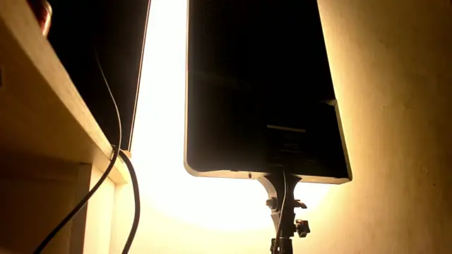 Snapshot of galactica_ chatting on 10-27-25, 11:36 galactica online show from 10-27-25, 11:36