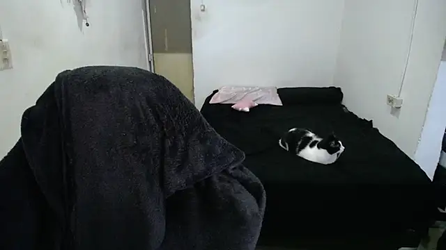 Amber09raiden online show from 10-31-25, 05:03