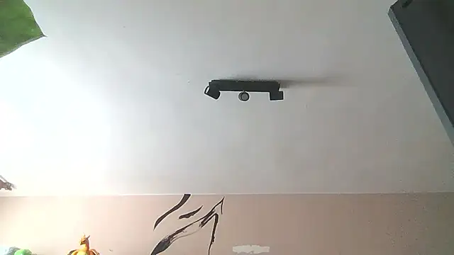 Snapshot of __Leyla__ chatting on 01-12-26, 12:21 Leyla online show from 01-12-26, 12:21