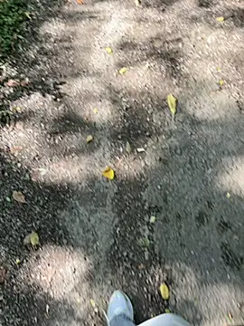 amo660 online show from 09-20-25, 10:05