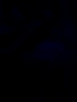 Snapshot of changavega chatting on 10-31-25, 12:44 changavega online show from 10-31-25, 12:44