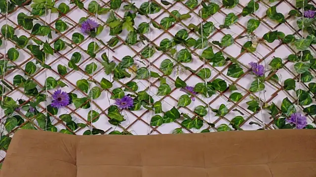 kloe bella online show from 01-13-26, 12:43