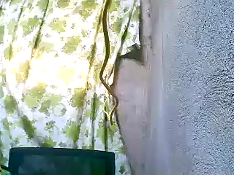 Sweeetgurll online show from 11-05-25, 01:27