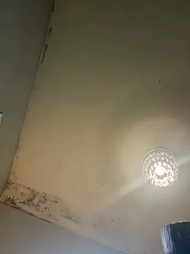 Snapshot of Victoriasteel chatting on 02-20-26, 11:22 Victoriasteel online show from 02-20-26, 11:22