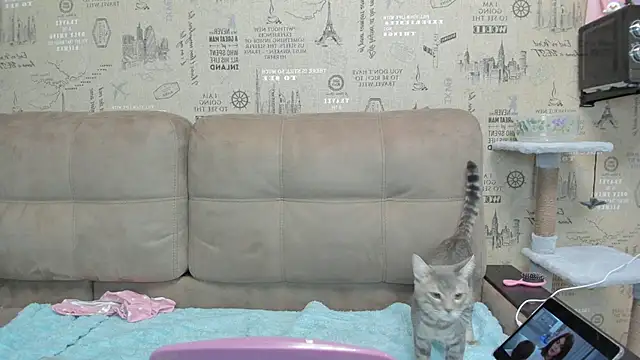 Snapshot of Kelly_Gerzikaa chatting on 11-29-25, 01:41 Kelly Gerzikaa online show from 11-29-25, 01:41