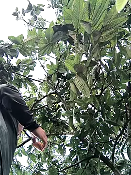 lamejorpene online show from 02-05-26, 01:05