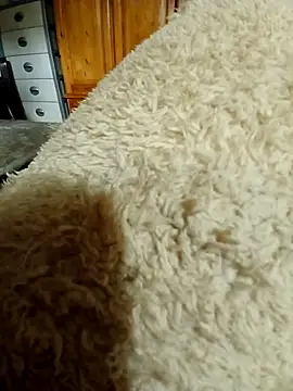 Ahalm online show from 11-16-25, 02:33