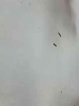 Snapshot of Baby-mmm chatting on 01-10-26, 05:20 Baby-mmm online show from 01-10-26, 05:20