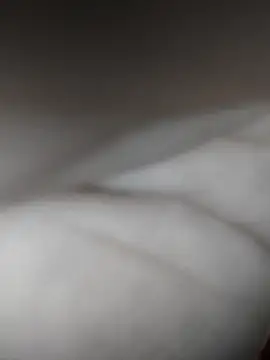Morboseando online show from 10-14-25, 01:50