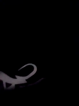 CarlosMartin238 online show from 03-12-26, 07:36