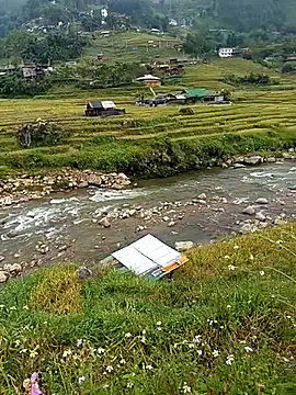 bing-bing88 online show from 09-14-25, 03:49