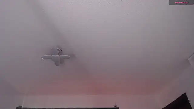  Charlotte Collins  online show from 03-22-26, 02:20