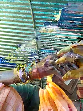 Pooja750 online show from 09-14-25, 03:49