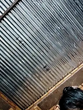 Snapshot of Pooja750 chatting on 03-11-26, 04:57 Pooja750 online show from 03-11-26, 04:57