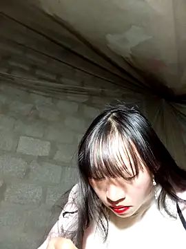 tcm-cute online show from 11-25-25, 12:49