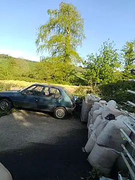 phil4fun4 online show from 04-29-26, 04:44