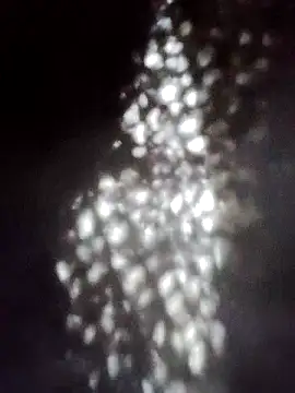 Snapshot of Perropa chatting on 01-18-26, 05:28 Perropa online show from 01-18-26, 05:28