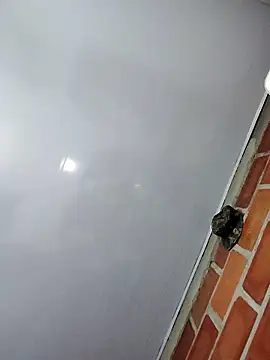 Snapshot of Perropa chatting on 02-27-26, 01:16 Perropa online show from 02-27-26, 01:16