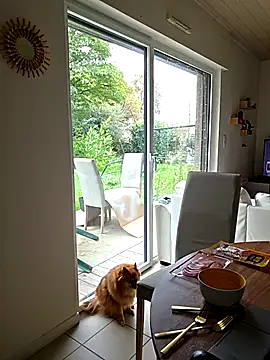 Snapshot of CornetDeGlace chatting on 10-31-25, 11:55 CornetDeGlace online show from 10-31-25, 11:55