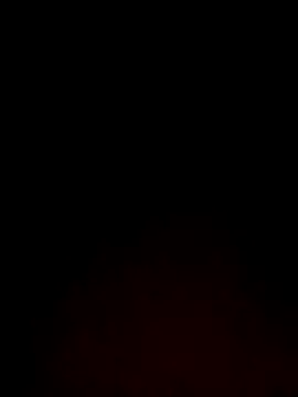 Payal950 online show from 11-24-25, 07:19