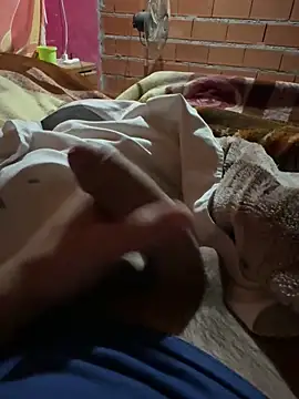 Snapshot of Ye_Char chatting on 10-29-25, 02:14 Ye Char online show from 10-29-25, 02:14