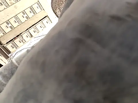 Snapshot of xyz-indian chatting on 10-01-25, 10:43 xyz-indian online show from 10-01-25, 10:43