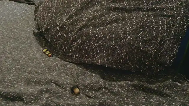 Gmajor online show from 04-11-26, 10:25