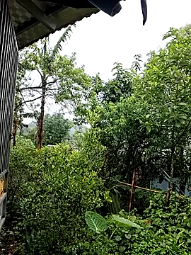 ALIENHR38 online show from 04-26-26, 04:43