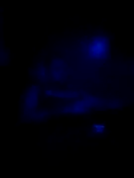 Snapshot of johnboones10 chatting on 11-16-25, 08:31 johnboones10 online show from 11-16-25, 08:31