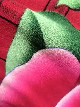 Snapshot of Family02 chatting on 11-26-25, 04:41 Family02 online show from 11-26-25, 04:41