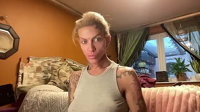 xl uk top trans online show from 01-12-26, 08:52