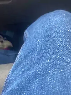 Snapshot of Pedro98801 chatting on 02-02-26, 11:47 Pedro98801 online show from 02-02-26, 11:47