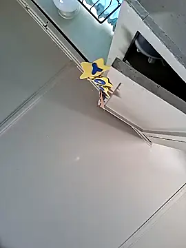 Snapshot of Pedro98801 chatting on 03-16-26, 06:01 Pedro98801 online show from 03-16-26, 06:01