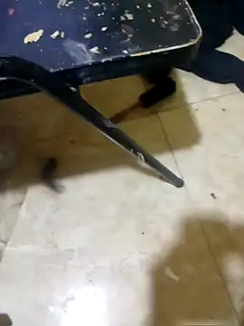 Snapshot of DanielpDnd chatting on 05-16-26, 07:45 DanielpDnd online show from 05-16-26, 07:45