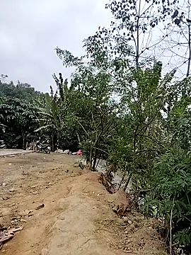 Tin tanny online show from 02-06-26, 12:37