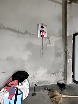 Tin tanny online show from 02-11-26, 01:10