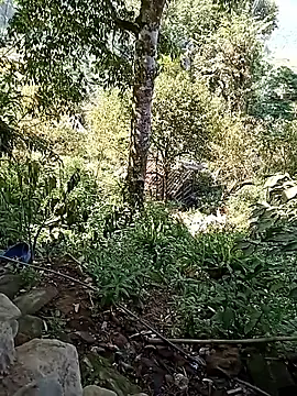 xinhxinhcute online show from 09-17-25, 07:54